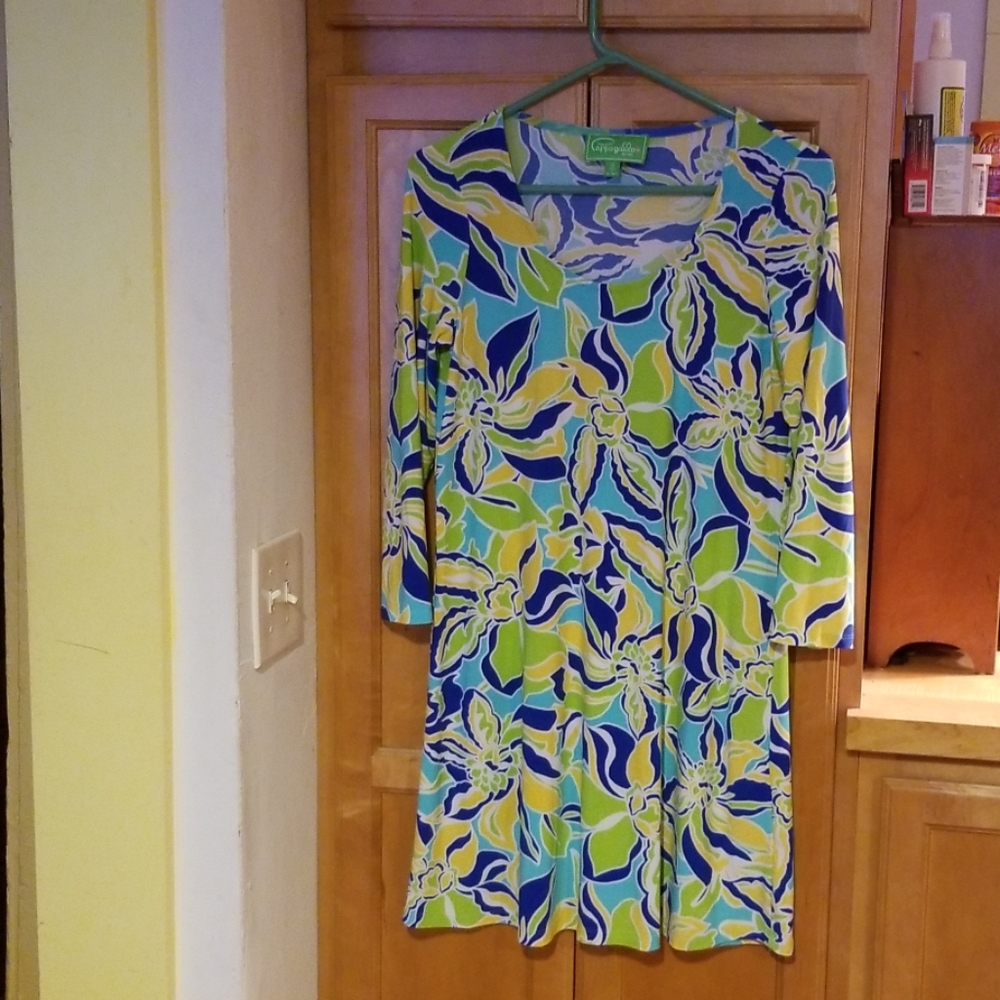 Pappagallo dress